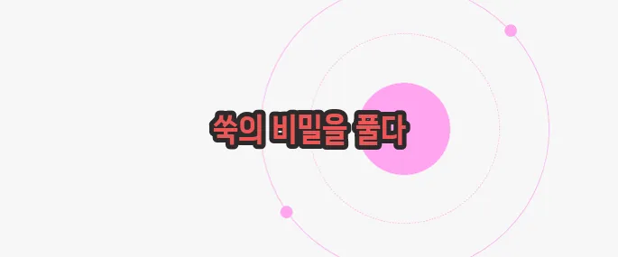 쑥 효능 한번 정확하게 알아보도록 하죠