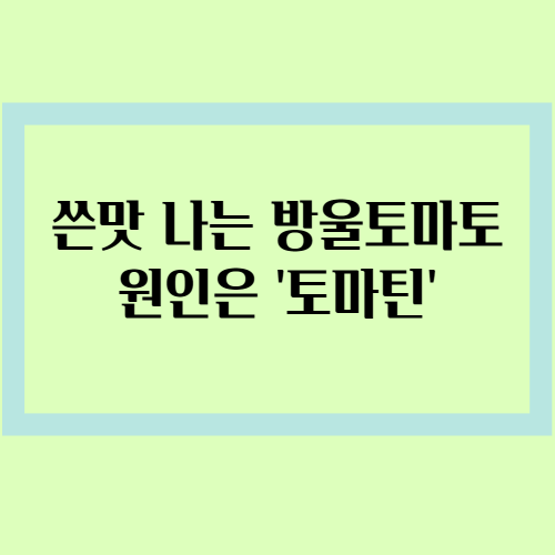 쓴맛 나는 방울토마토 원인은 토마틴