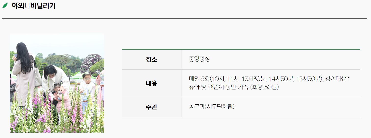 야외나비날리기