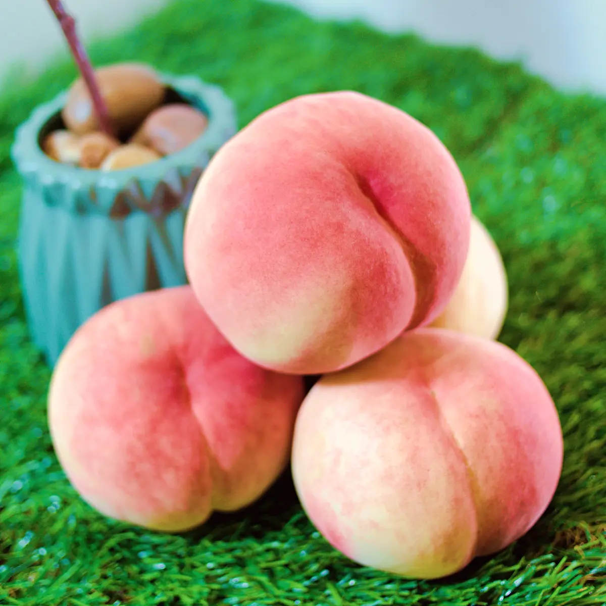 생방송투데이 영천 복숭아