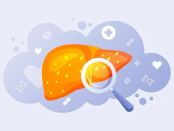 간세포 손상을 줄이는 메밀차