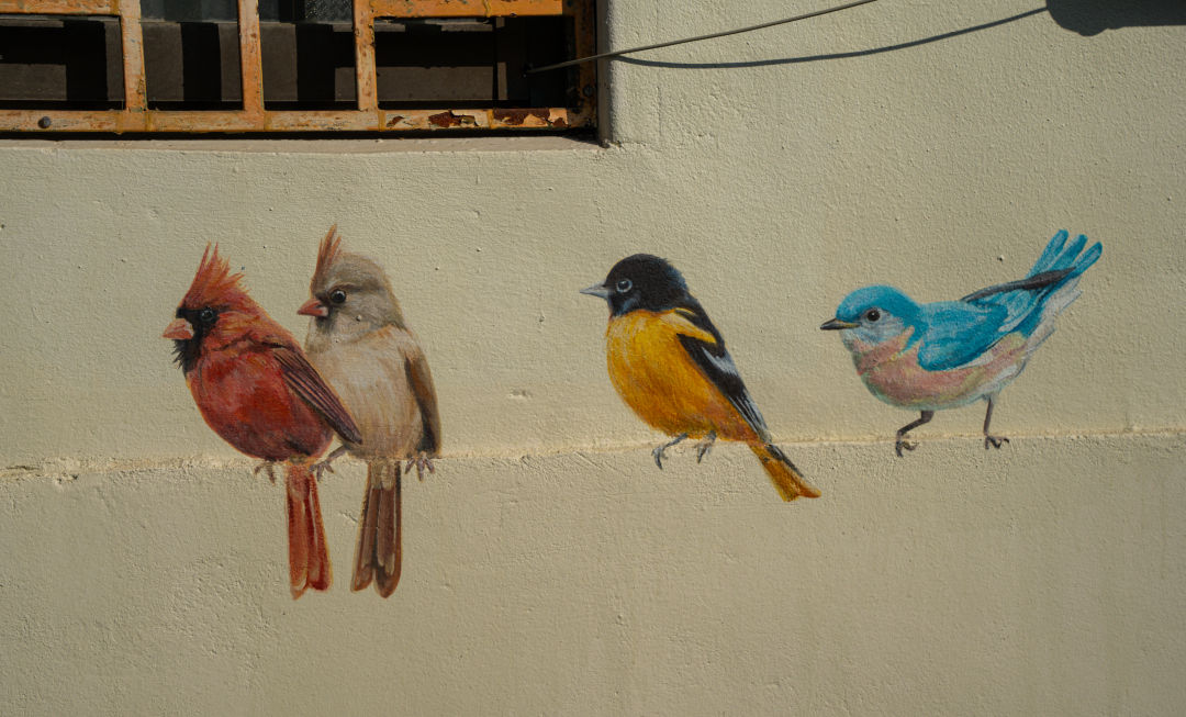 지동벽화마을 벽화