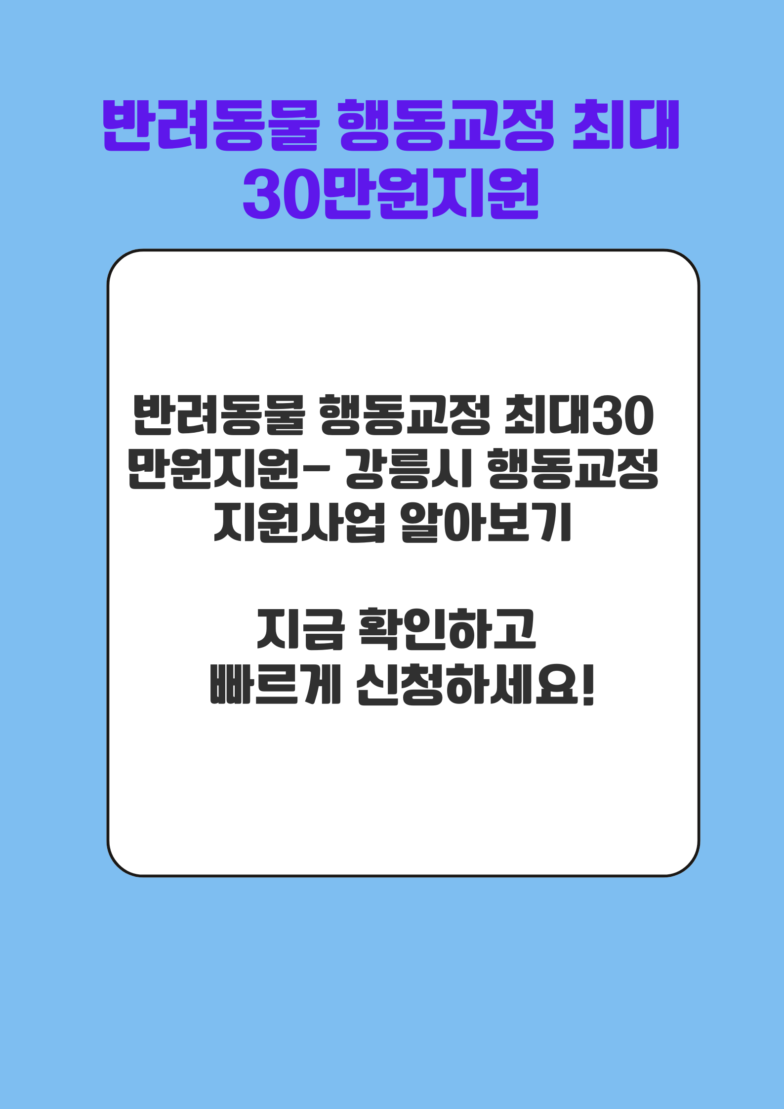 강릉시 행동교정 지원사업