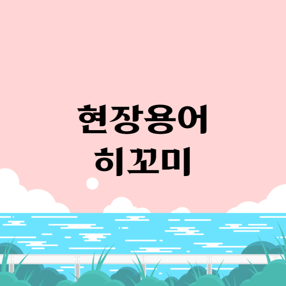 현자용어 히꼬미의 뜻?