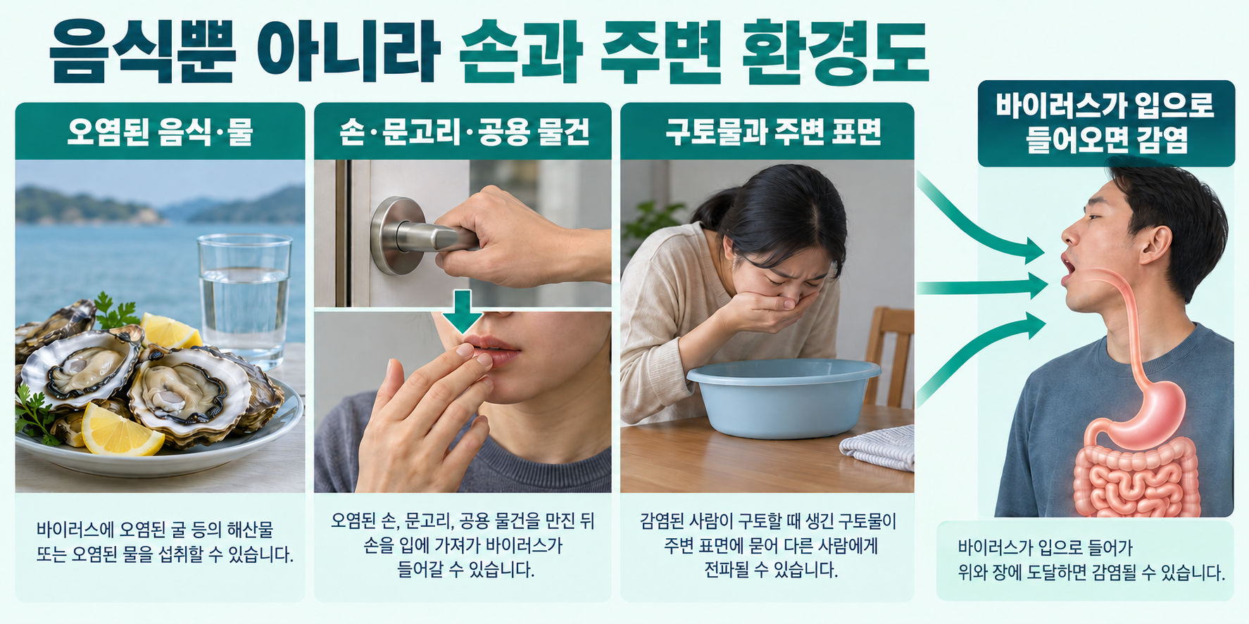 오염된 음식·물, 손과 공용 물건, 구토물 주변 오염이라는 세 경로가 입을 통한 감염으로 이어지는 관계. 호흡기 폐 감염도나 피부 흡수로 표현하지 않음.