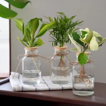 수경재배 준비 병선택 뿌리관리 액비투여 물갈이주기 가이드_12