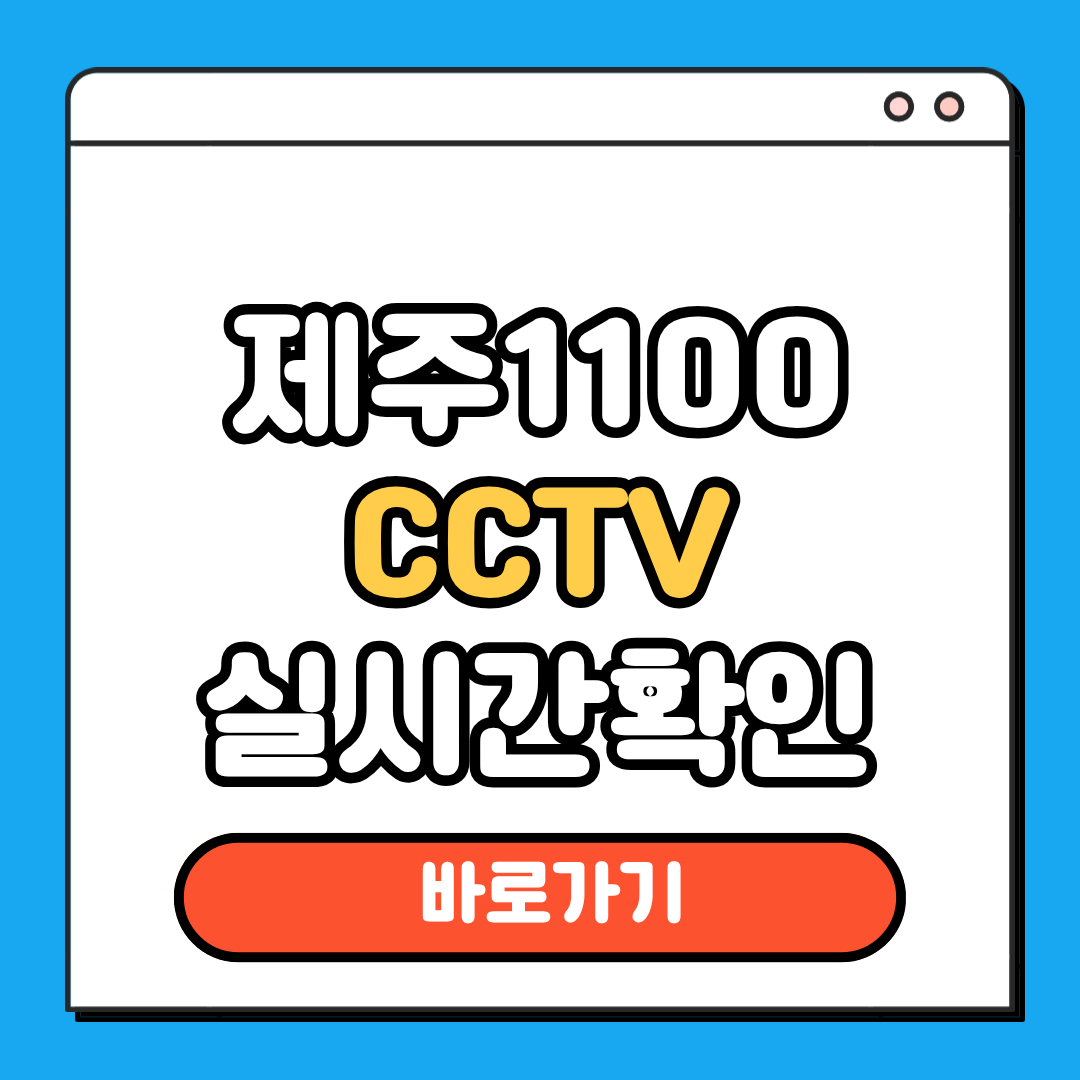 제주1100 cctv 실시간 확인