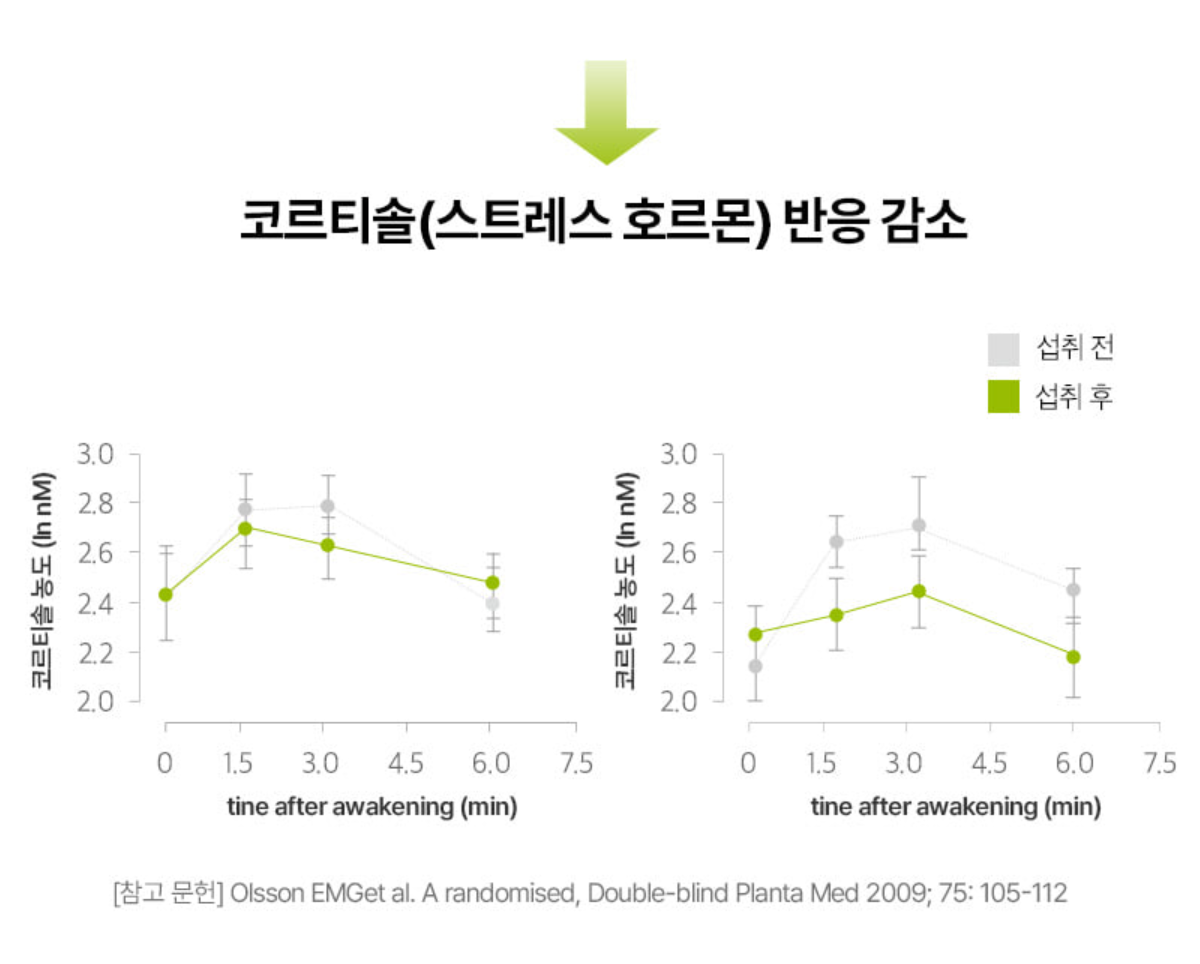 콜레올로지컷 빨간통 다이어트 효과