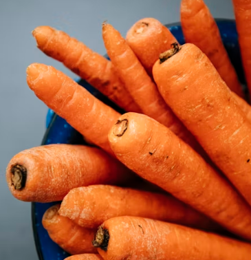 당근 효능 부작용 고르는법 칼로리