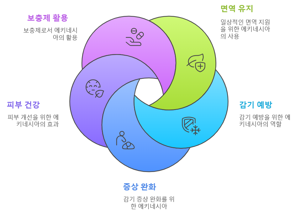 에키네시아, 실생활에서 활용한 건강 관리 방법