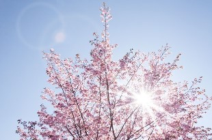 화담숲 예약 9