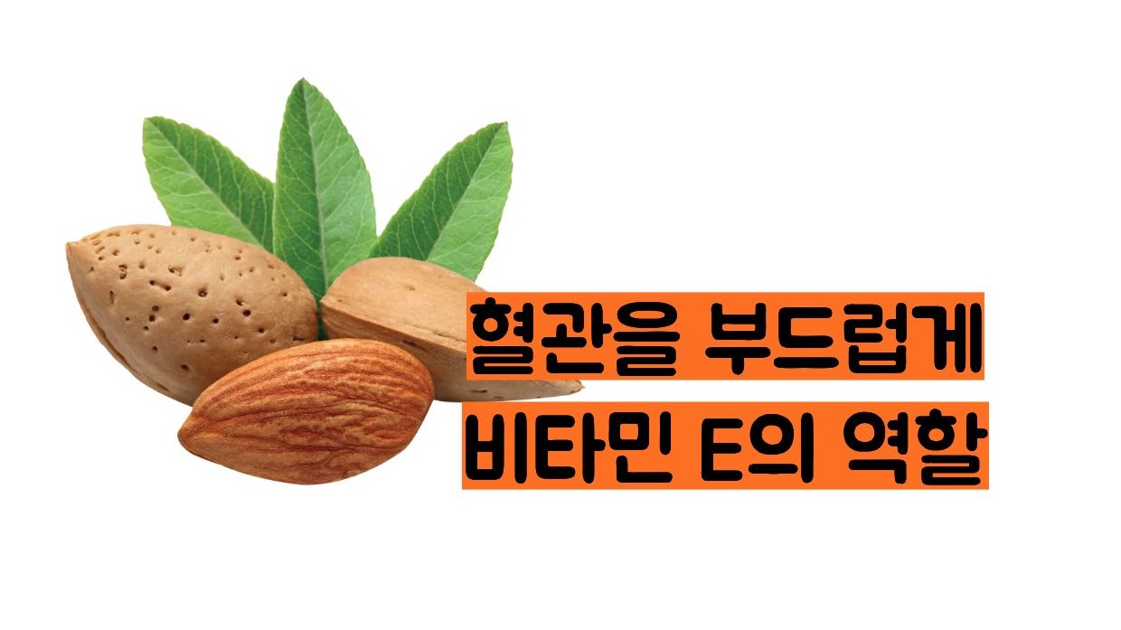 아몬드 효능