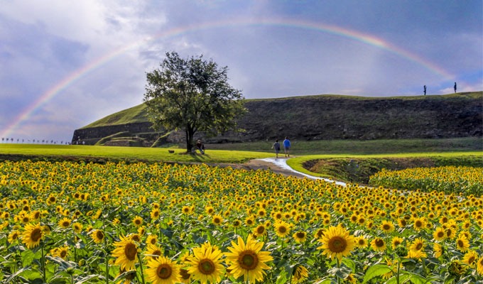 연천 제1땅굴 상승전망대 DMZ 안보관광