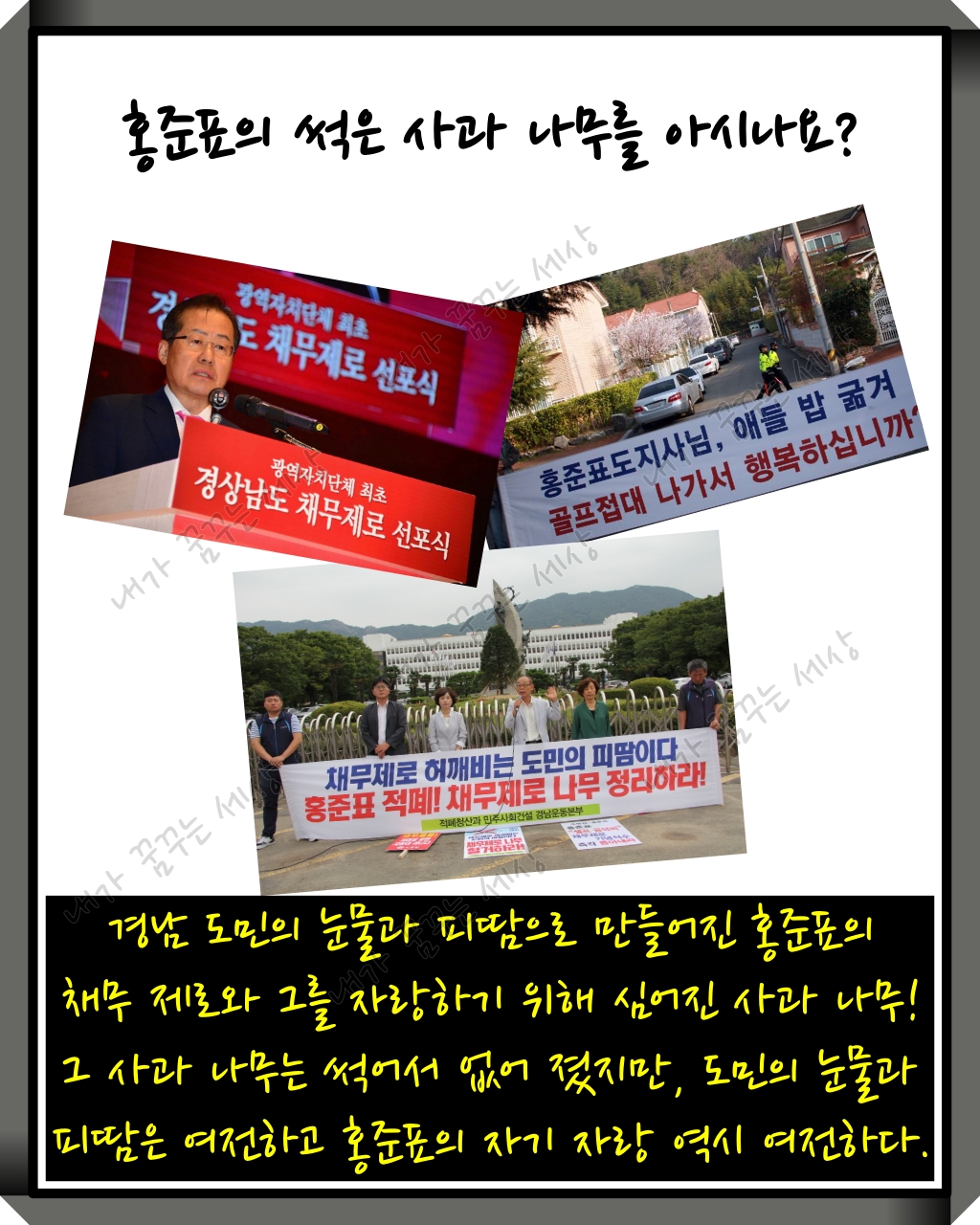 홍준표의 사과 나무를 아시나요?