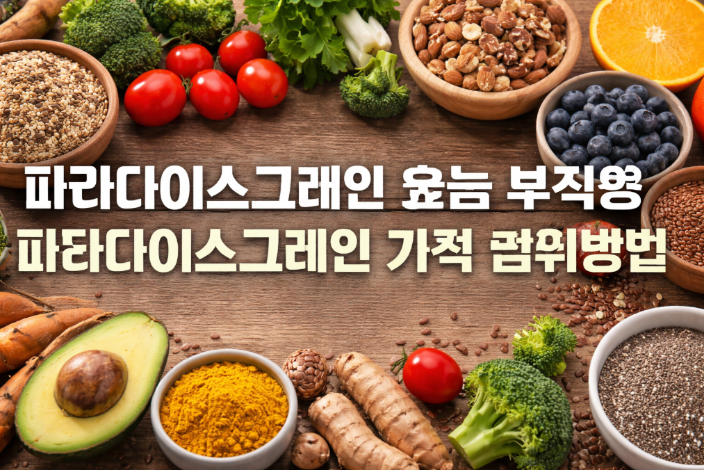 파라다이스그레인 효능부터 가격까지 3분 완벽 정리