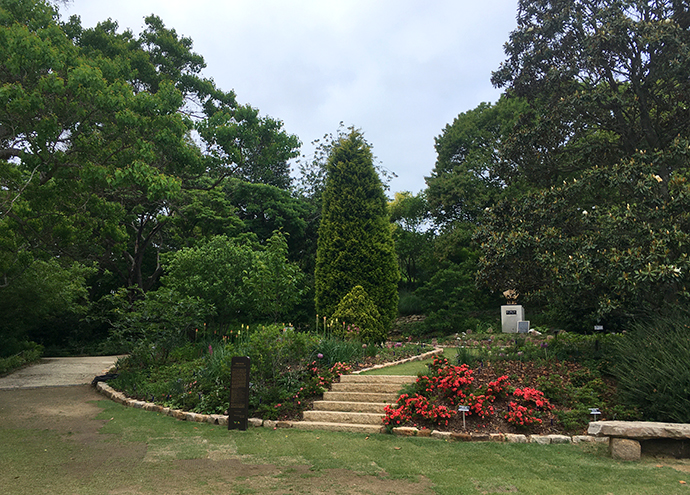 수목원-꽃과-나무들