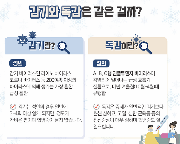 일반 감기와의 차이점 이미지