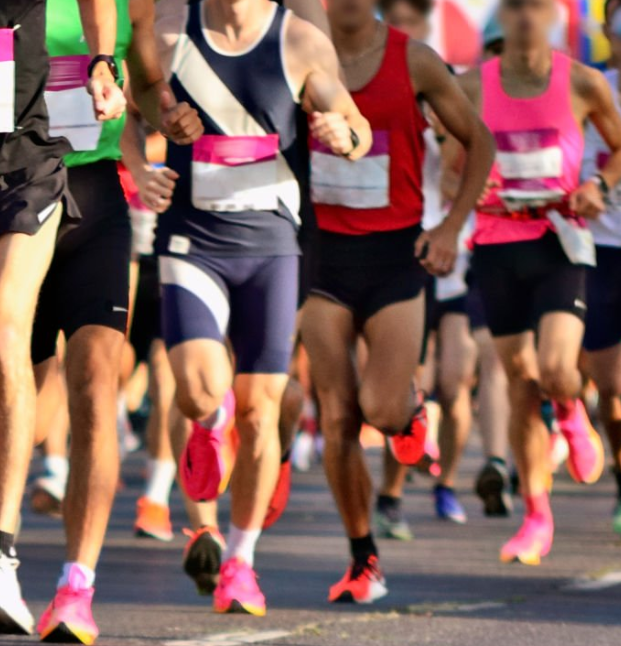 2025 람사르습지 밤섬런