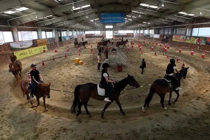 안성팜랜드-입장료-승마센터-파라다이스독-요금