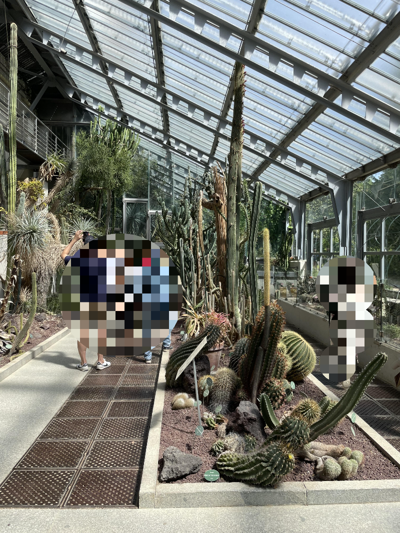 마드리드 왕립식물원 온실