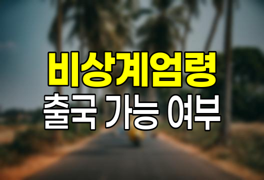 비상계엄령 시 출국 가능 여부