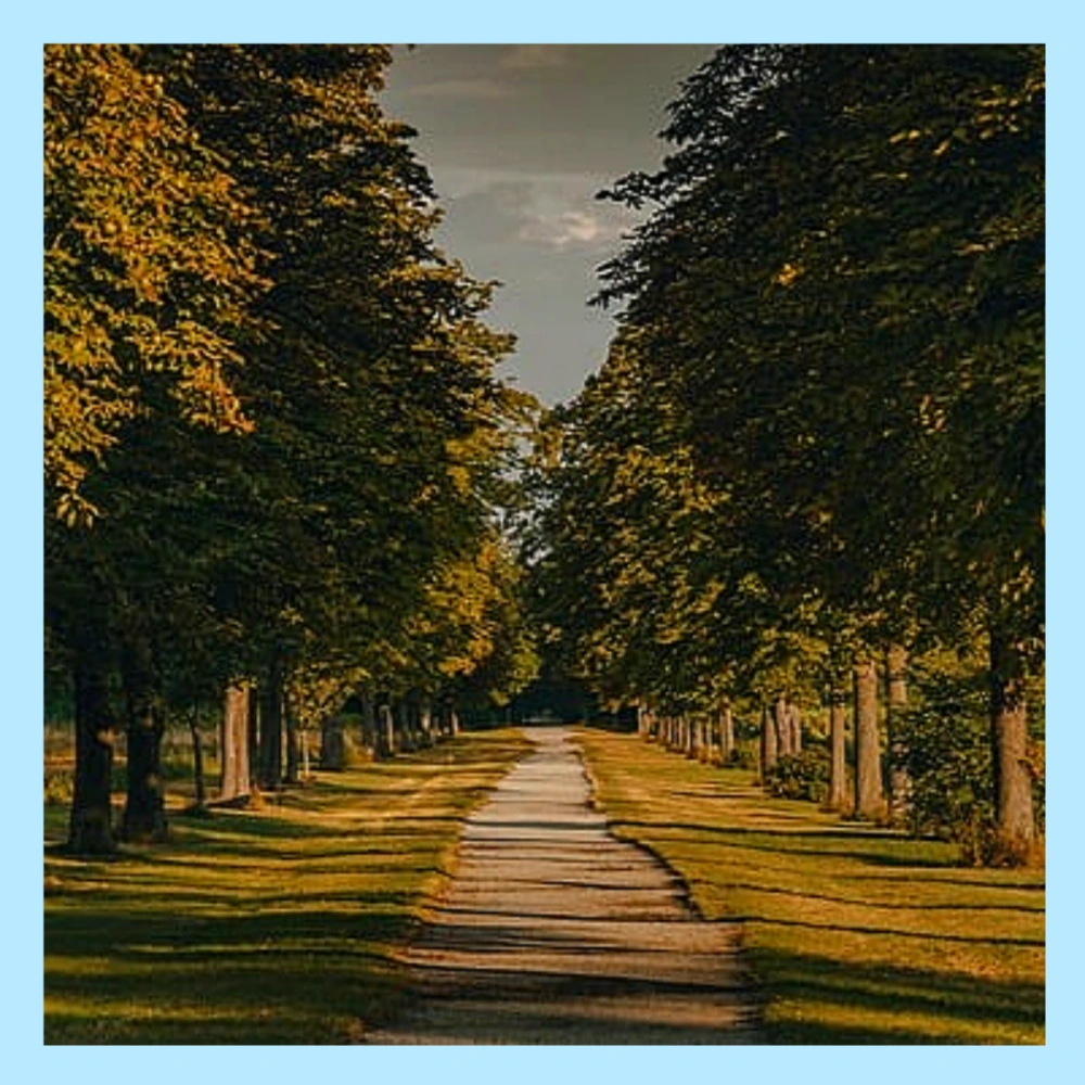 수험생-응원-격려-문구