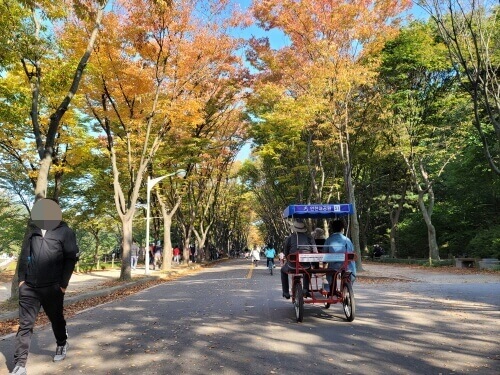 자전거길-단풍