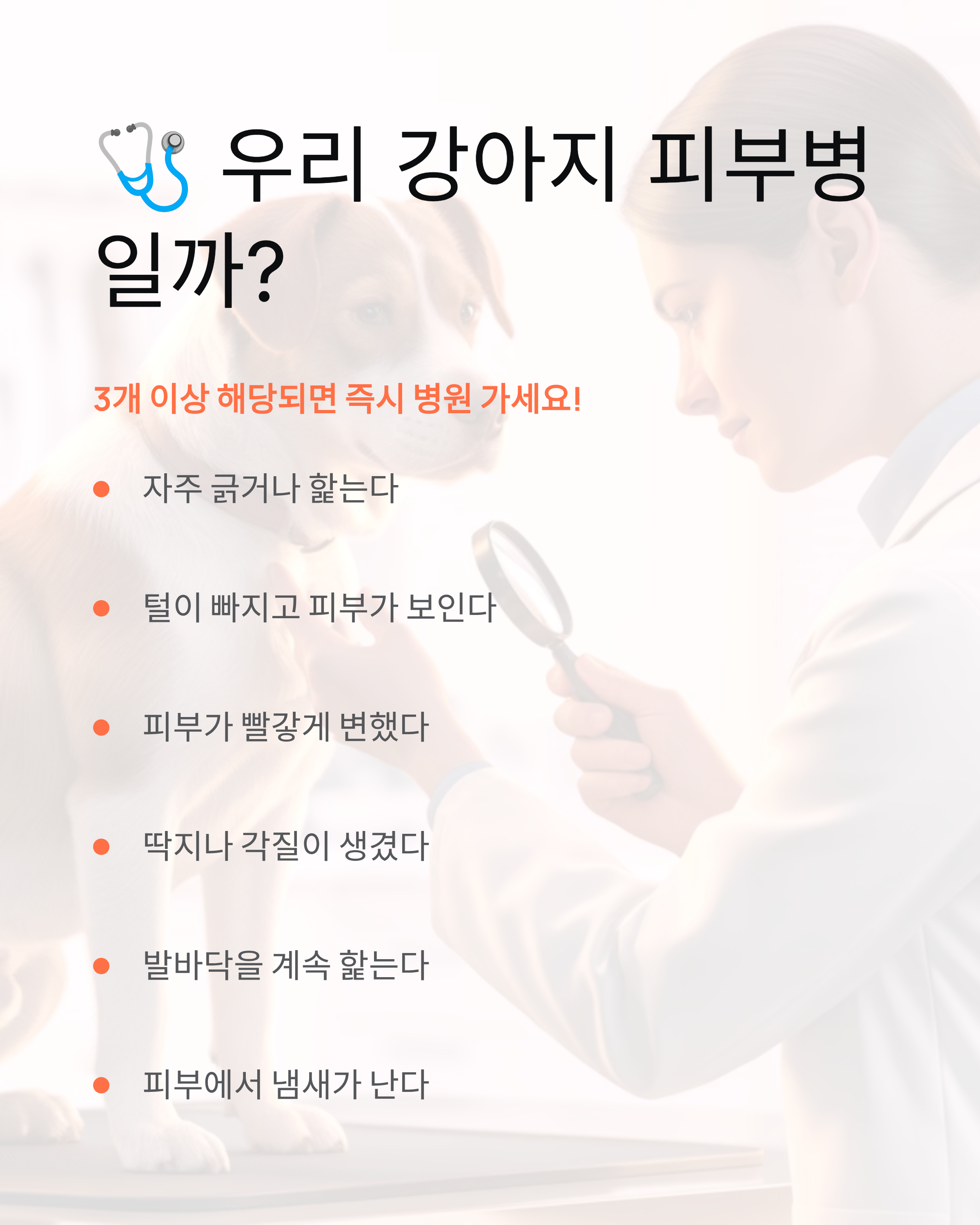 강아지 피부병 🐕 종류·증상·치료법·샴푸까지 완벽 정리!