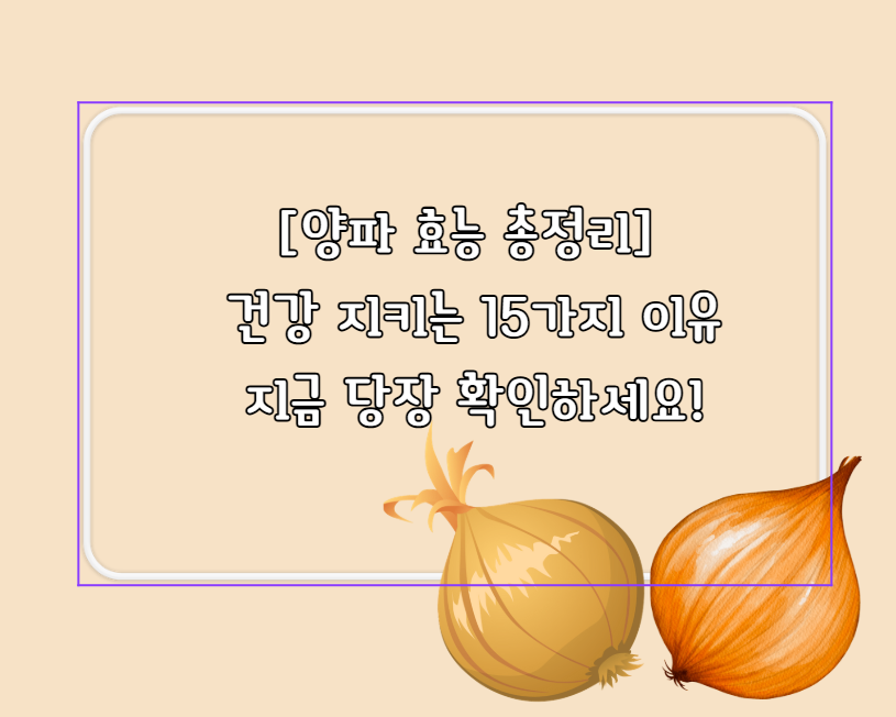양파 효능 총정리
