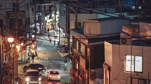  반려동물 행동교정사 자격증