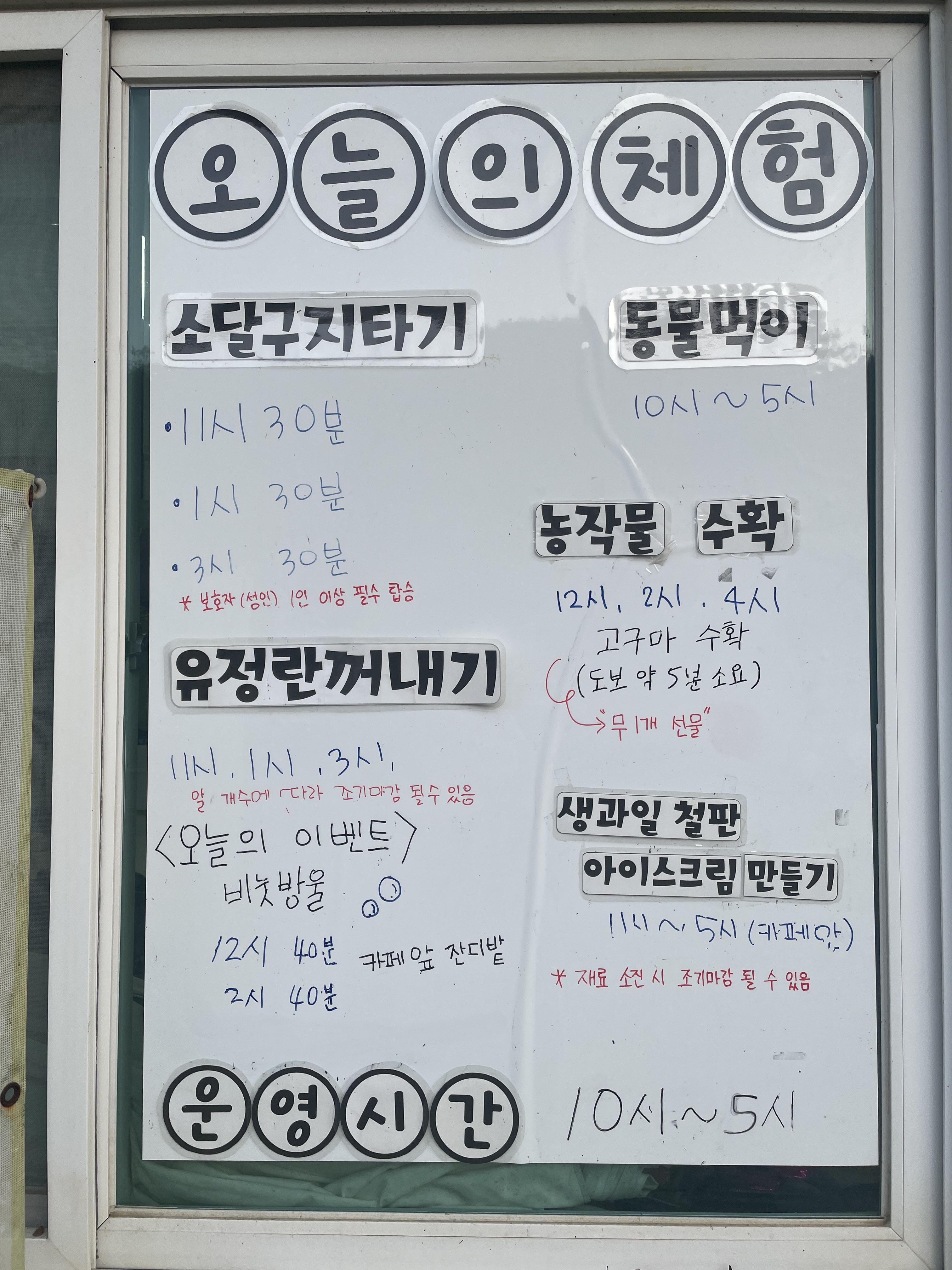 가족들과 나들이 가기 좋은 '한터 조랑말농원' 체험 시간표