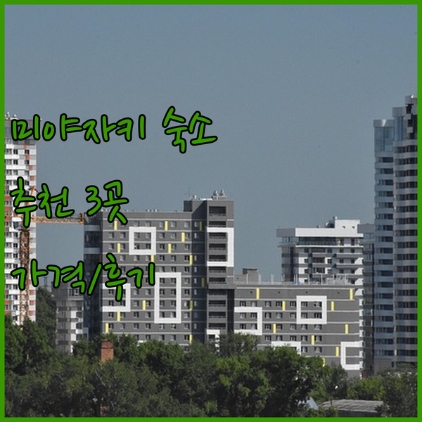 미야자키 숙소 추천 3곳 가격과 후기