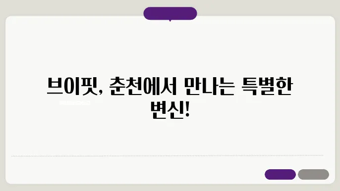 춘천 후평동 브이핏 가격 비용 후기 추천