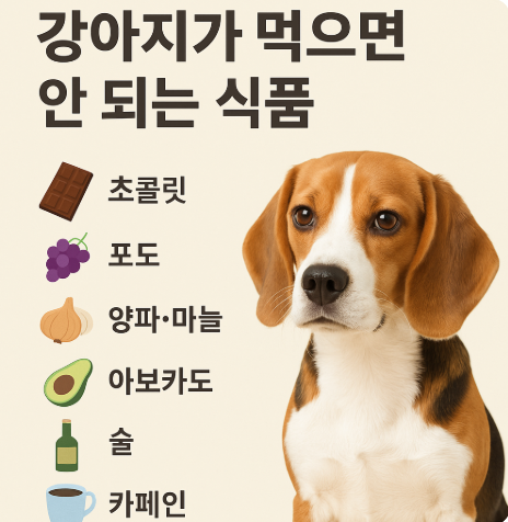 강아지에게 절대 안 돼요! , 강아지가 먹으면 위험한 10가지 식품 (이미지 챗지피티)