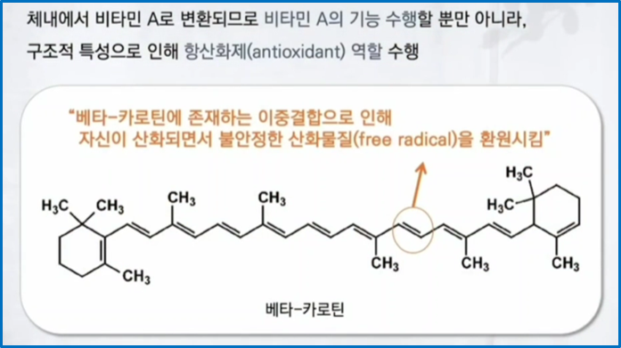 항산화영양소