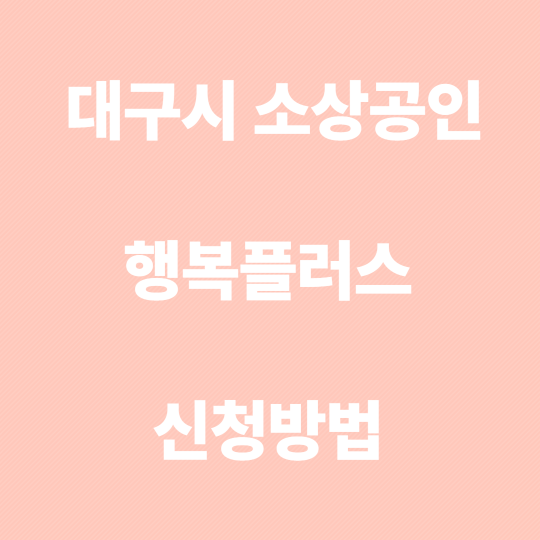 대구 소상공인 행복플러스