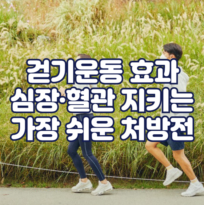걷기운동 효과, 심장&middot;혈관 지키는 가장 쉬운 처방전