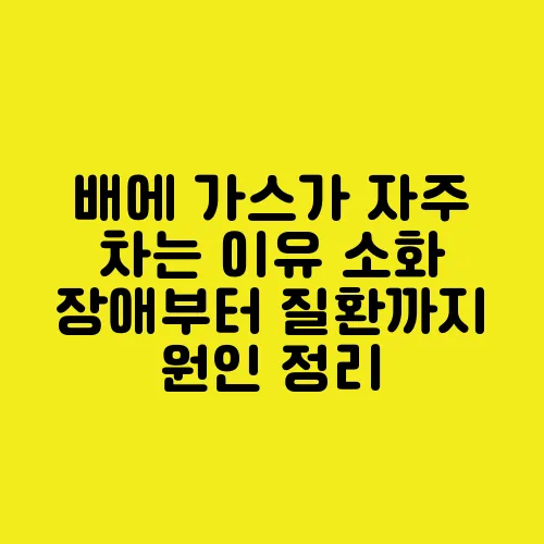 배에 가스가 자주 차는 이유 소화 장애부터 질환까지 원인 정리