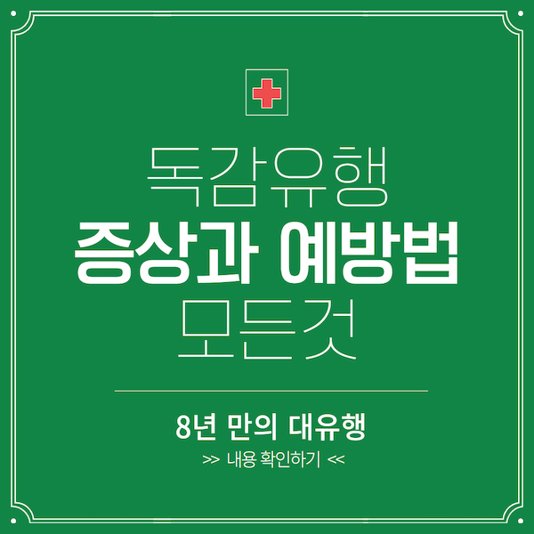 독감 유행 증상과 예방법