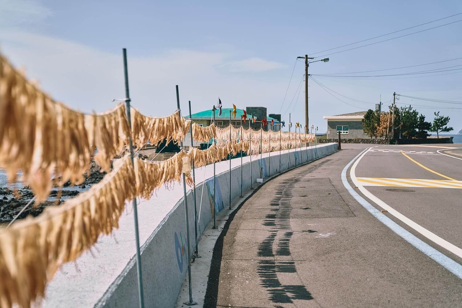 제주 올레길 5코스 추천: 남원포구에서 쇠소깍까지 힐링 여행