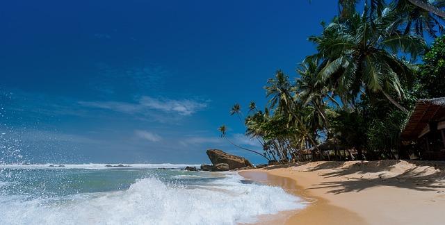 blog-image