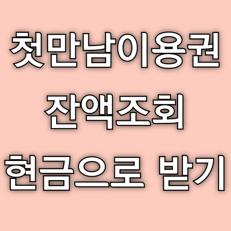 첫만남이용권 잔액조회 현금 지급