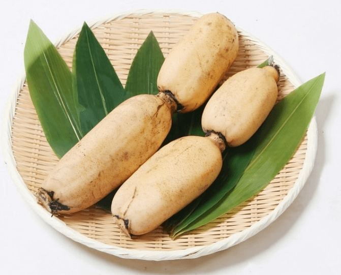 연근조림 만드는 방법( 만들기) 황금레시피