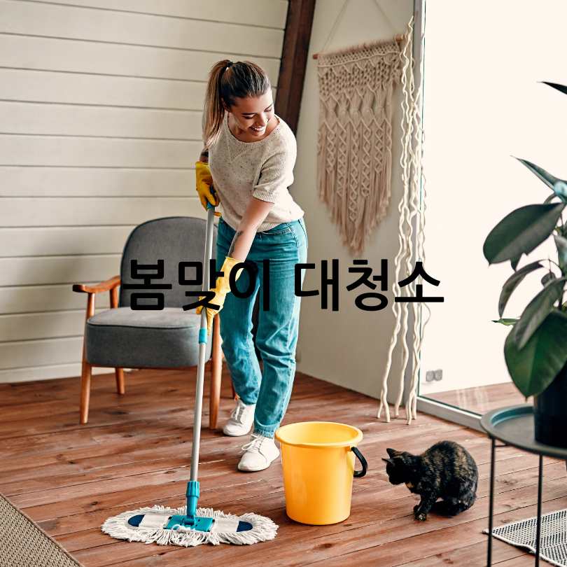 봄맞이 대청소 팁 &amp; 진드기 제거 팁