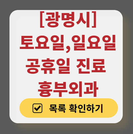 광명시 주말 토요일 일요일 흉부외과 진료 병원 목록 ❘ 공휴일 진료 영업 병원 리스트 찾기