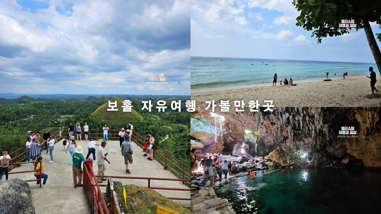 보홀 자유여행 가볼만한곳 여행코스 추천 말루안 비치, 히낙다단 동굴, 안경원숭이 보호구역 포함