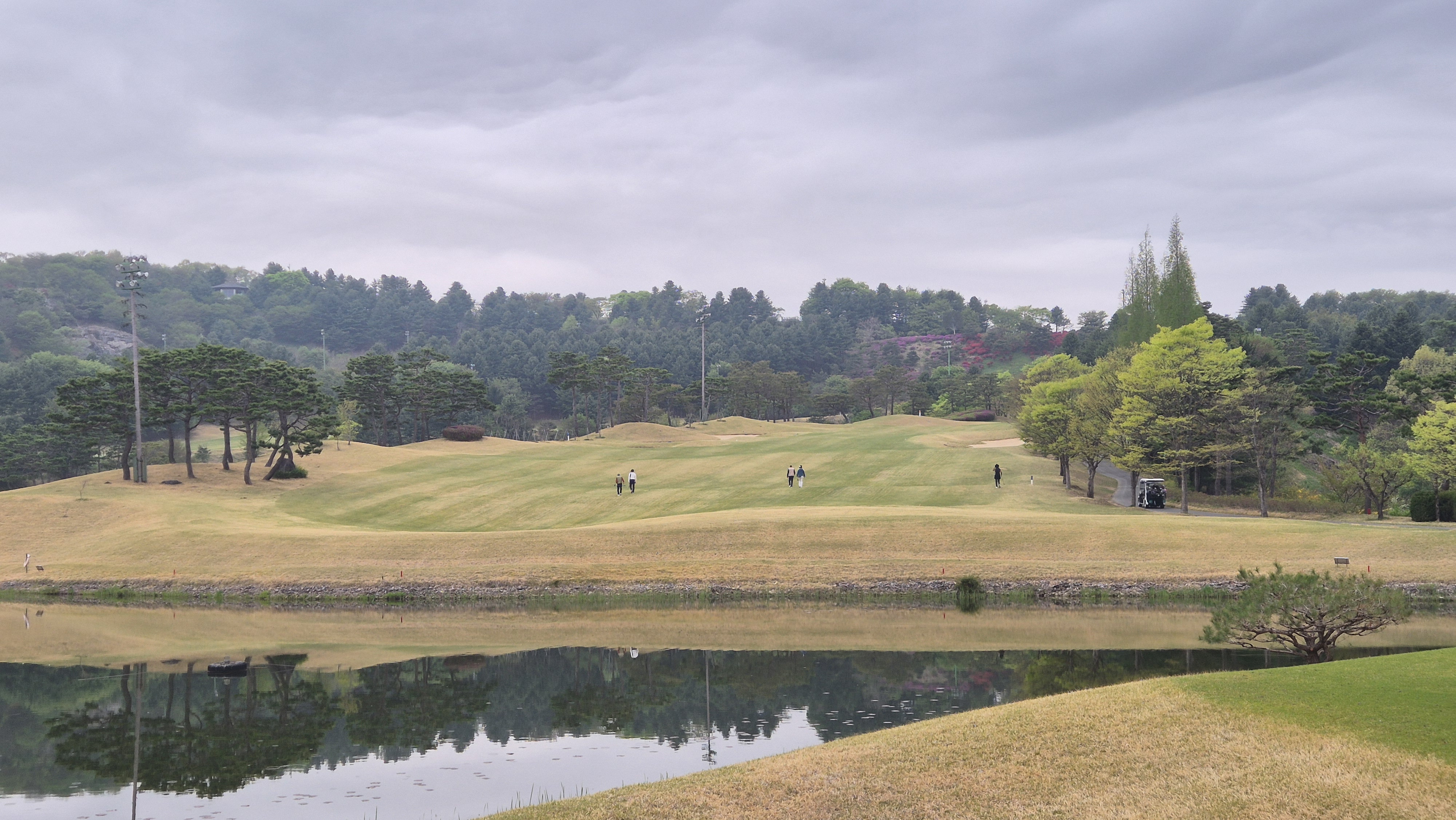 시그너스cc 코튼-라미 코스 사진 및 공략 정보