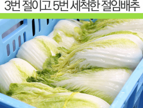 김장 절임 배추 20kg 가격 비교 추천