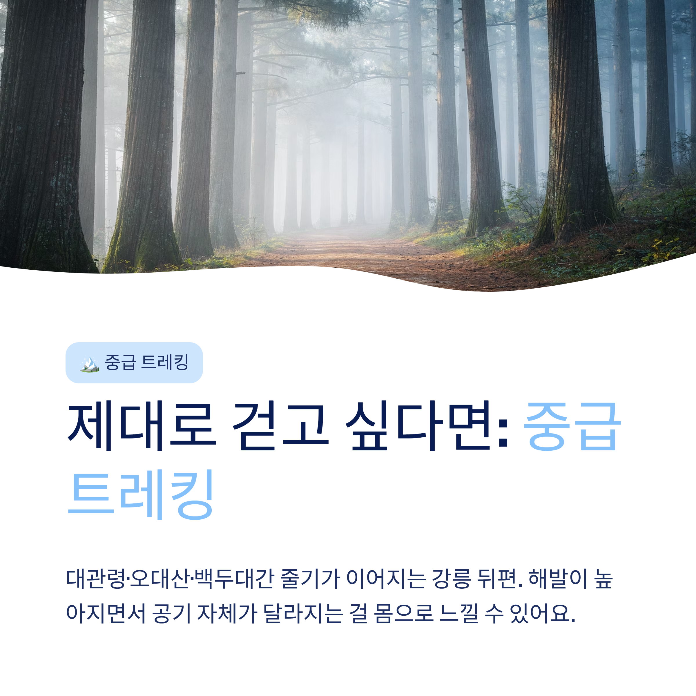 강릉 근교 산책 달리기 트레킹 코스 추천 ❘ 바다와 소나무 숲 사이를 걷는 법