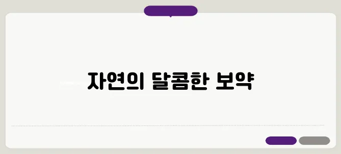 꿀의 효능 한번 정확하게 알아보도록 하죠